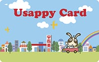 2011_Usappy Card